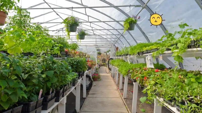 Inovasi Teknologi Hijau sebagai Solusi untuk Pertanian Berkelanjutan