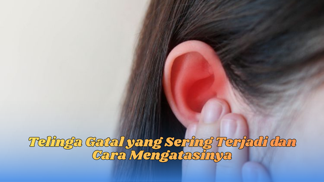 telinga gatal