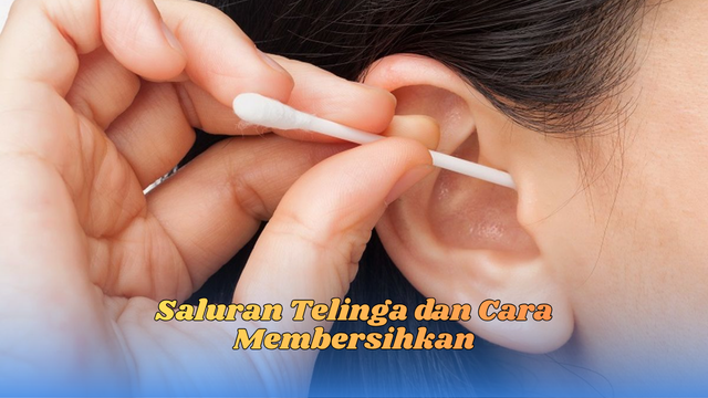 saluran telinga